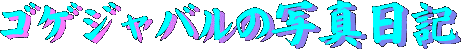 SQ̎ʐ^GL